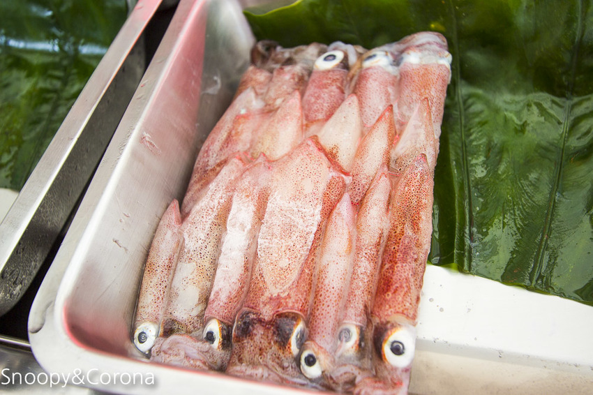 【新北市景點】貢寮景點|九孔養殖體驗|嘉邑海鮮小館~餵食九孔體驗、品嚐炙燒九孔,澳底大啖現流海鮮