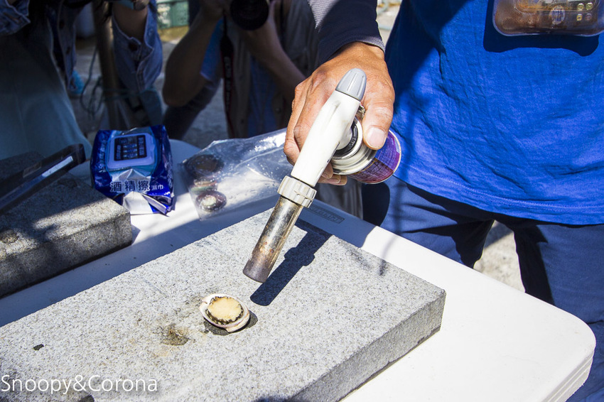 【新北市景點】貢寮景點|九孔養殖體驗|嘉邑海鮮小館~餵食九孔體驗、品嚐炙燒九孔,澳底大啖現流海鮮