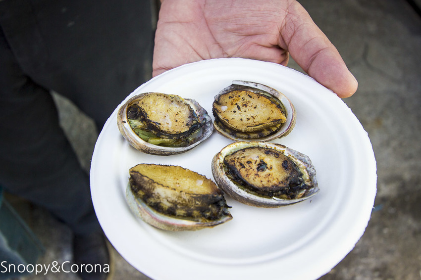 【新北市景點】貢寮景點|九孔養殖體驗|嘉邑海鮮小館~餵食九孔體驗、品嚐炙燒九孔,澳底大啖現流海鮮