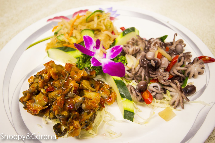 【新北市景點】貢寮景點|九孔養殖體驗|嘉邑海鮮小館~餵食九孔體驗、品嚐炙燒九孔,澳底大啖現流海鮮