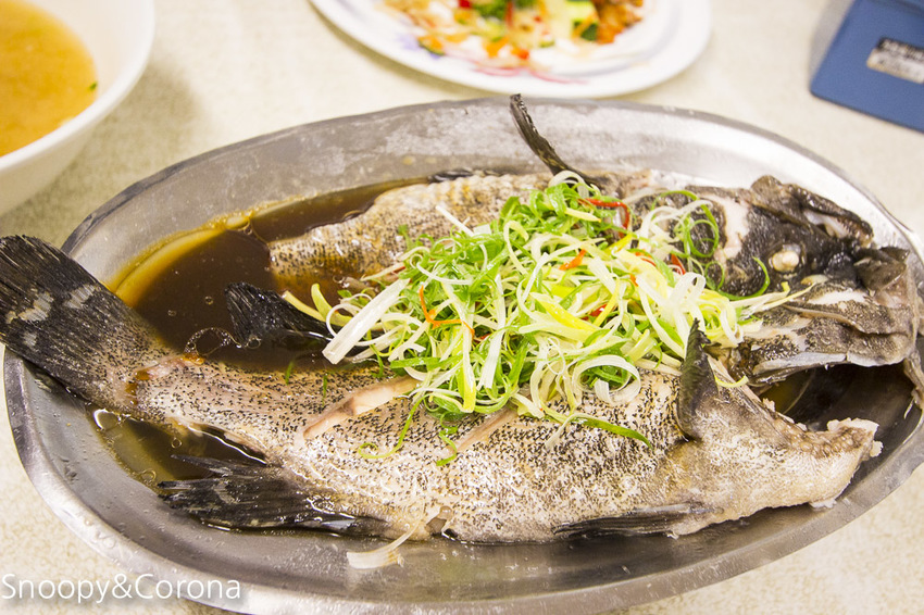 【新北市景點】貢寮景點|九孔養殖體驗|嘉邑海鮮小館~餵食九孔體驗、品嚐炙燒九孔,澳底大啖現流海鮮