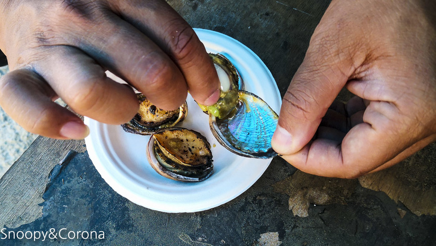 【新北市景點】貢寮景點|九孔養殖體驗|嘉邑海鮮小館~餵食九孔體驗、品嚐炙燒九孔,澳底大啖現流海鮮