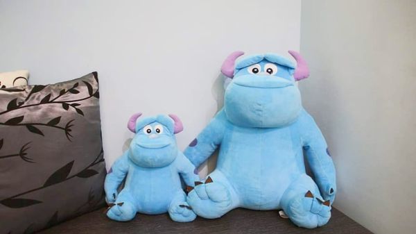 75439253_477381316211114_6128635954472157184_n