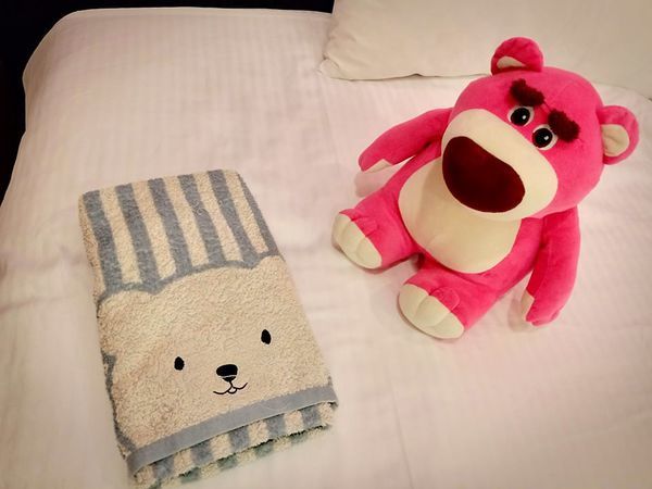 72949990_2464703350465697_7069568713845899264_n