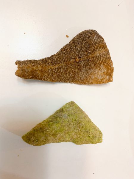 澎湖伯_191020_0023.jpg 澎湖伯_191020_0023.jpg