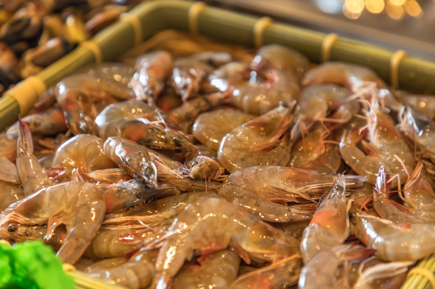 虎樂日韓精肉澹鮮火烤吃到飽