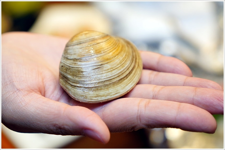 【五股美食】菊芊會館．超浮誇鍋物、桌菜宴席料理，邊吃火鍋邊唱歌的包廂式服務!