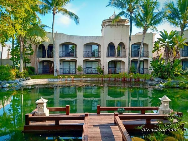 72732923_532205347339744_6490548908358369280_n