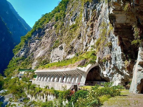 73211324_547552509137312_3621631602125176832_n