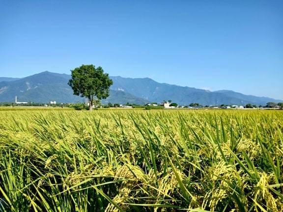 74341183_2237971579834149_8415695259224244224_n