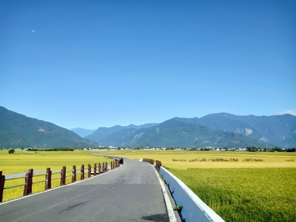 74216775_603545903718118_8942084440977309696_n