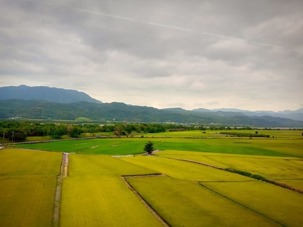 73156435_533108910840980_6720536177901830144_n