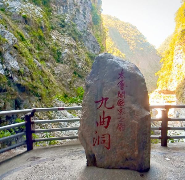 74701612_519518138886695_5625449581916454912_n