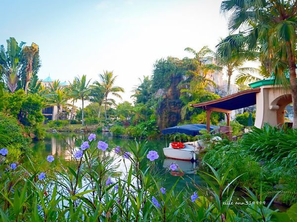 75250878_712057219273536_4369916511129698304_n