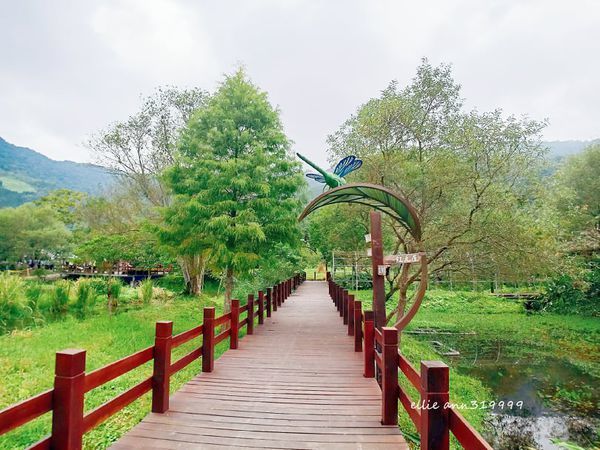 73188173_508958563286419_8542983787636588544_n