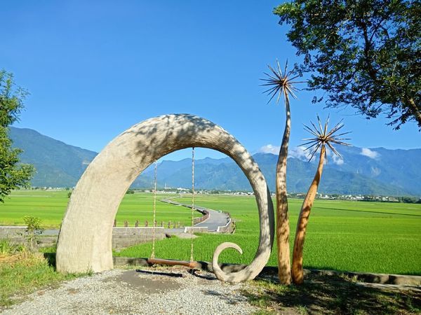 73279470_875963792805156_7770391060248788992_n