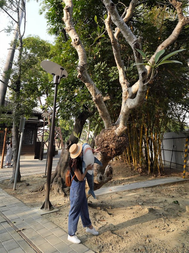 嘉義熱門IG打卡景點-昭和J18/嘉義史蹟資料館,嘉義製材所