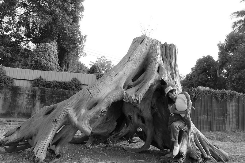 嘉義熱門IG打卡景點-昭和J18/嘉義史蹟資料館,嘉義製材所