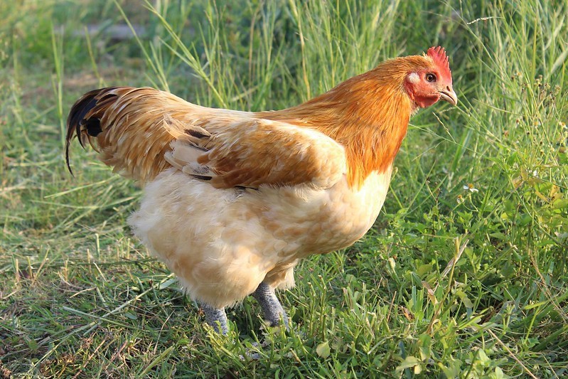 124347272_3475552715870142_91556457428601769_n