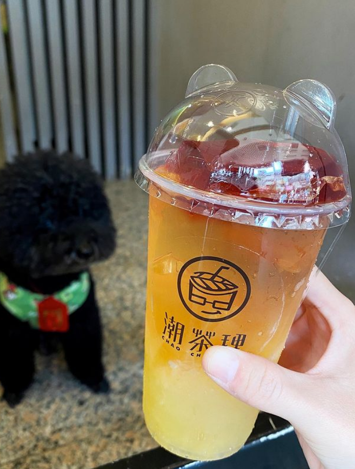 [台中北區] 潮茶理 ｜超可愛的愛心愛玉飲品｜告白神器｜台中飲料推薦｜冰果甜心｜蜜釀珍珠奶茶｜克寧奶粉使用內｜附菜單