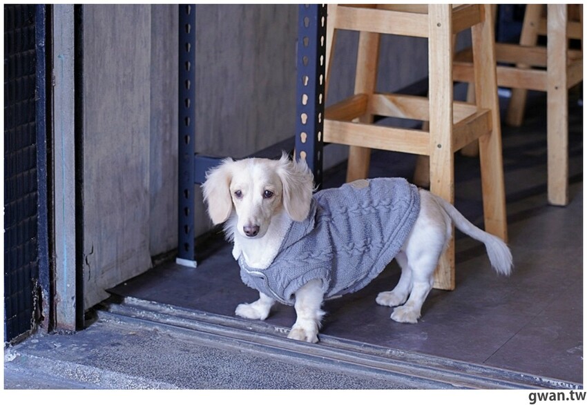想不到吧芝士草莓沙沙回來啦！三款超人氣草莓飲品，錯過再等一年～