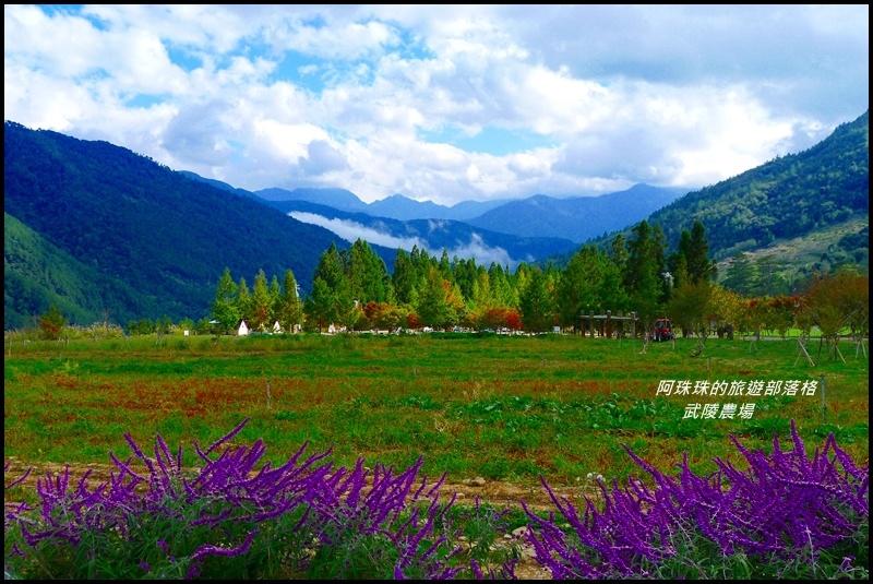 武陵農場91.JPG