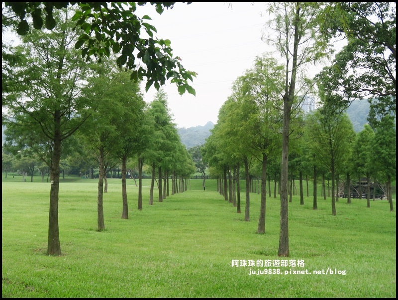大溪河濱公園8.JPG