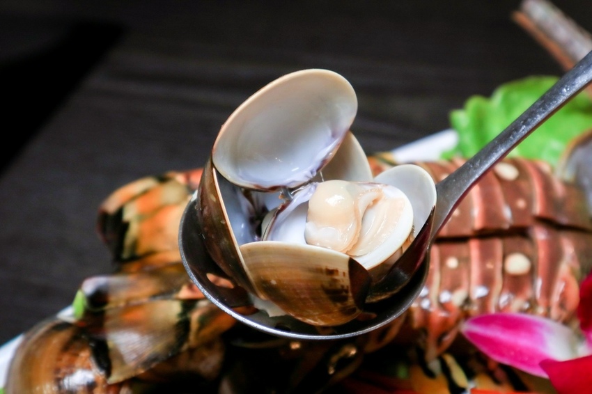 舞古賀涮涮屋/火鍋-高雄天祥店