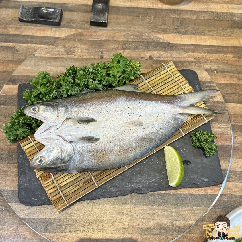 桃園市中壢區桃園中壢禪燒肉。古代秀才書房吃燒肉！全程代烤服務最好、價格不是天花板的全和牛盛宴！ 11/11起雙人套餐一律88折！ (菜單營業時間地址電話) - 跟著踢小米吃喝玩樂趣