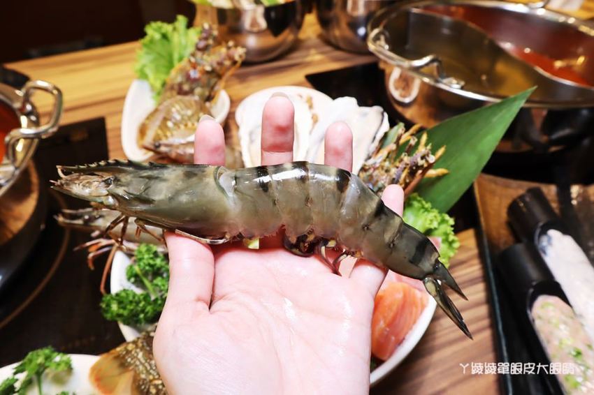 新竹巨城附近美食火鍋推薦香聚鍋物！一喝就上癮的火鍋湯頭，激推台灣優酪豬、手工香菜豬肉滑