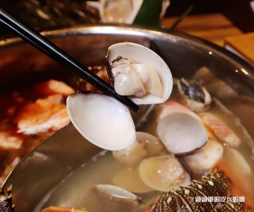 新竹巨城附近美食火鍋推薦香聚鍋物!一喝就上癮的火鍋湯頭,激推台灣優酪豬、手工香菜豬肉滑