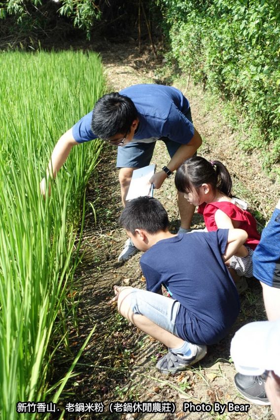 【新竹香山】「老鍋休閒農莊（百年老店/米粉DIY/親子共學手作體驗/田間生態觀察/沙坑.溜滑梯/十七公里海岸線末端）」