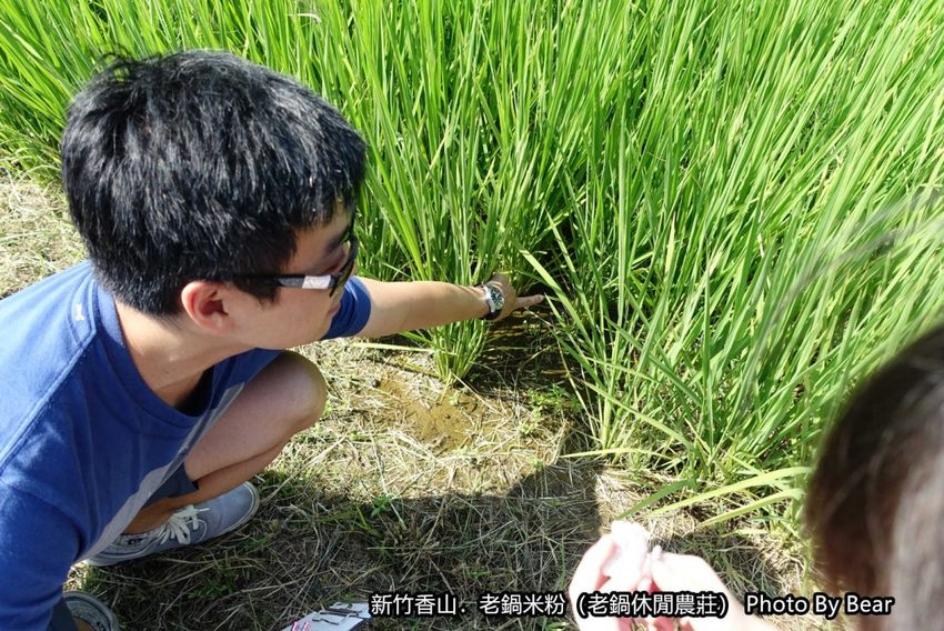 【新竹香山】「老鍋休閒農莊（百年老店/米粉DIY/親子共學手作體驗/田間生態觀察/沙坑.溜滑梯/十七公里海岸線末端）」