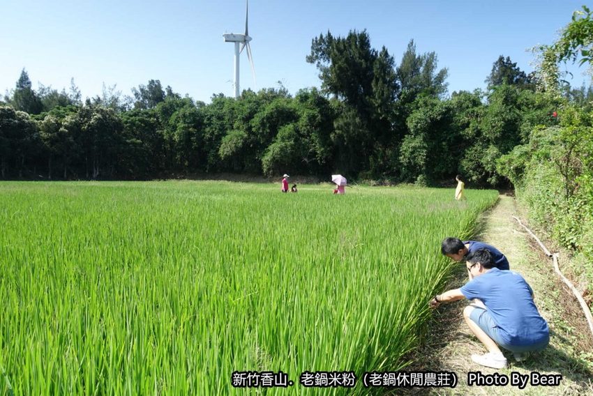 【新竹香山】「老鍋休閒農莊（百年老店/米粉DIY/親子共學手作體驗/田間生態觀察/沙坑.溜滑梯/十七公里海岸線末端）」