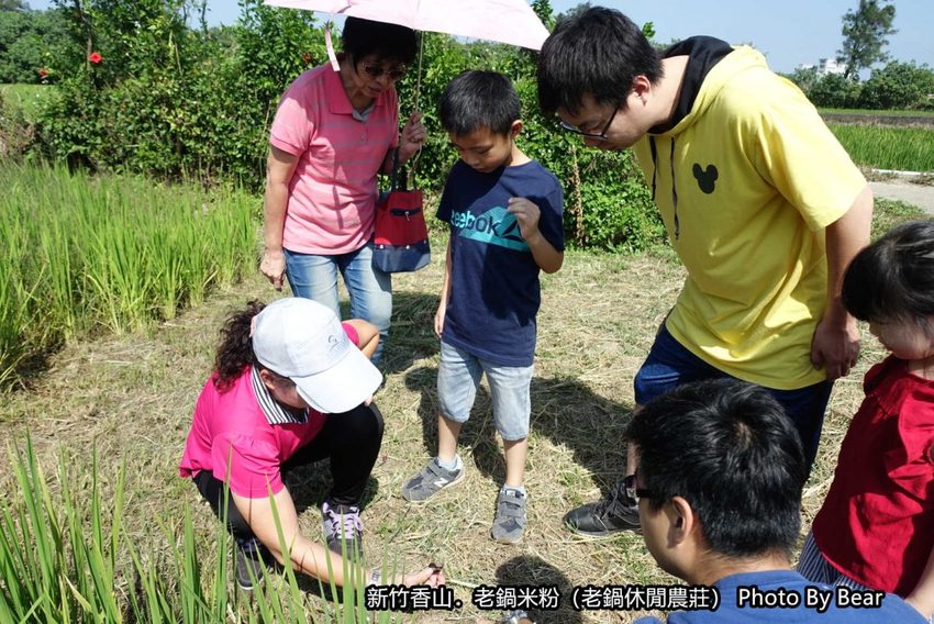【新竹香山】「老鍋休閒農莊（百年老店/米粉DIY/親子共學手作體驗/田間生態觀察/沙坑.溜滑梯/十七公里海岸線末端）」