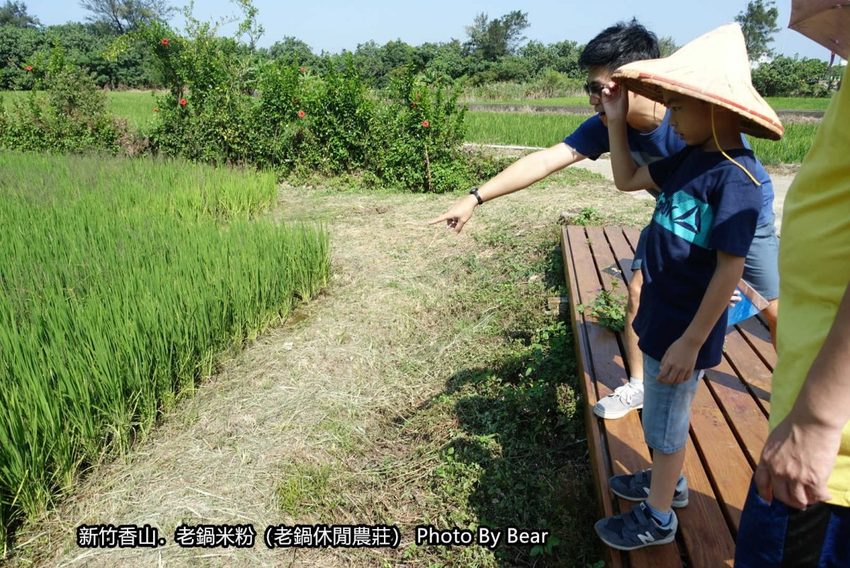 【新竹香山】「老鍋休閒農莊（百年老店/米粉DIY/親子共學手作體驗/田間生態觀察/沙坑.溜滑梯/十七公里海岸線末端）」