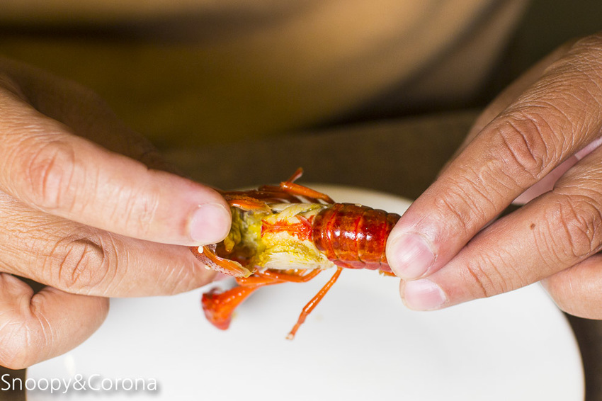 【台北美食】三創美食｜台北港式飲茶｜港點大師～季節限定鮮蒸大閘蟹、川味帶勁小龍蝦粉絲煲