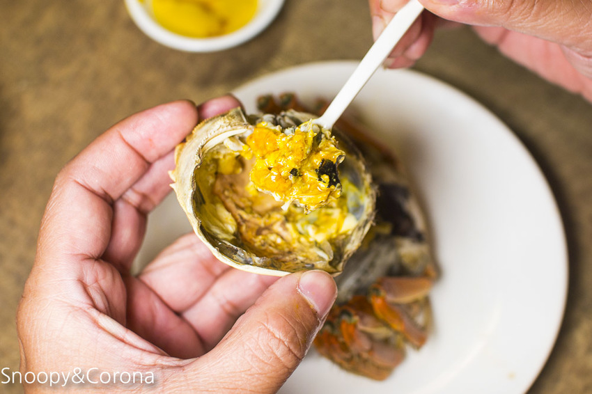 【台北美食】三創美食｜台北港式飲茶｜港點大師～季節限定鮮蒸大閘蟹、川味帶勁小龍蝦粉絲煲