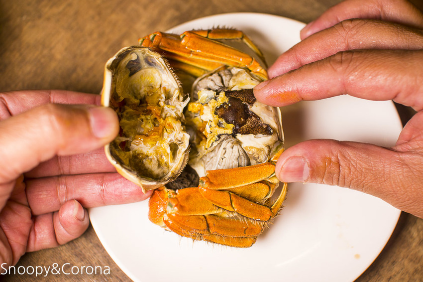 【台北美食】三創美食｜台北港式飲茶｜港點大師～季節限定鮮蒸大閘蟹、川味帶勁小龍蝦粉絲煲