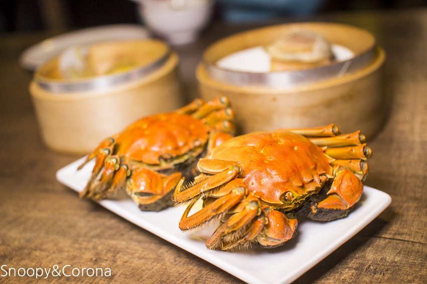 【台北美食】三創美食｜台北港式飲茶｜港點大師～季節限定鮮蒸大閘蟹、川味帶勁小龍蝦粉絲煲