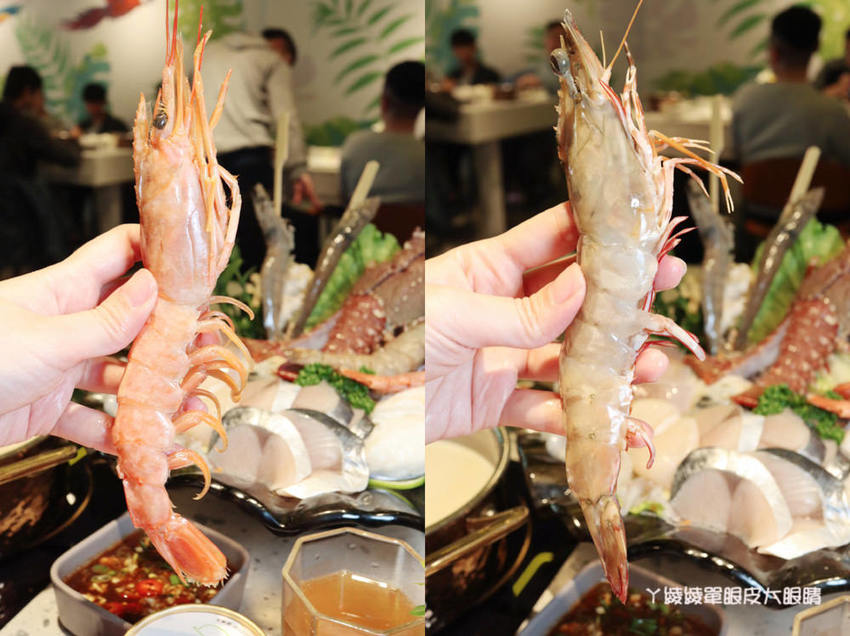 新竹巨城附近平價火鍋推薦鍋工館！單人鍋最便宜只要280元！湯頭免費試喝、貝殼一把抓