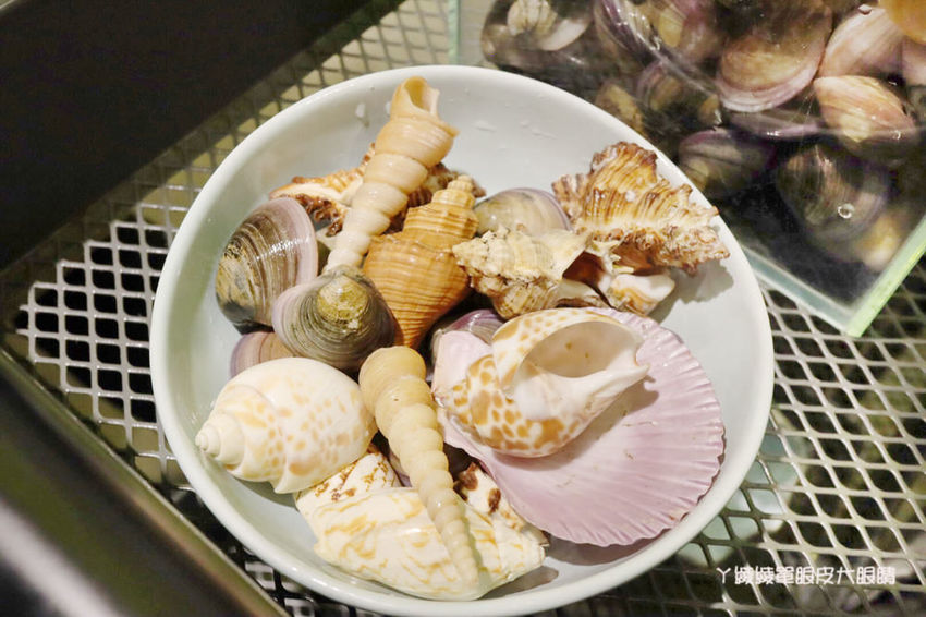 新竹巨城附近平價火鍋推薦鍋工館！單人鍋最便宜只要280元！湯頭免費試喝、貝殼一把抓