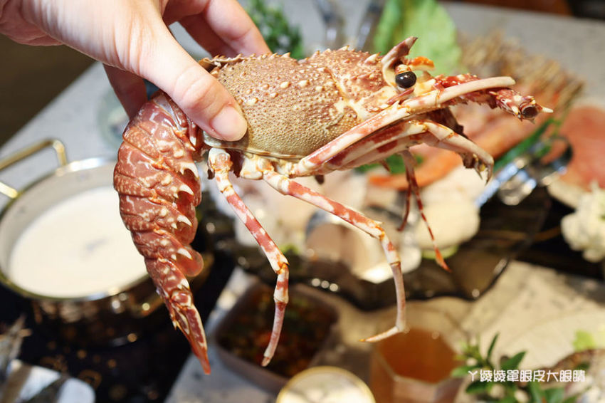 新竹巨城附近平價火鍋推薦鍋工館！單人鍋最便宜只要280元！湯頭免費試喝、貝殼一把抓