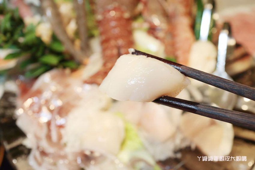 新竹巨城附近平價火鍋推薦鍋工館！單人鍋最便宜只要280元！湯頭免費試喝、貝殼一把抓