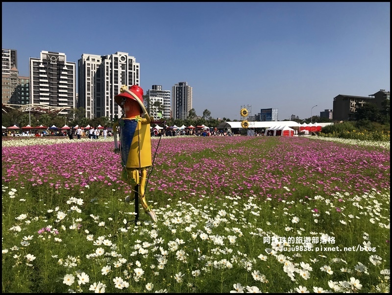 中壢花海29.JPG