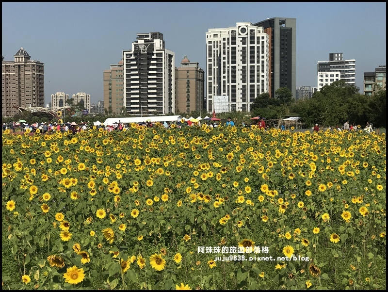 中壢花海34.JPG