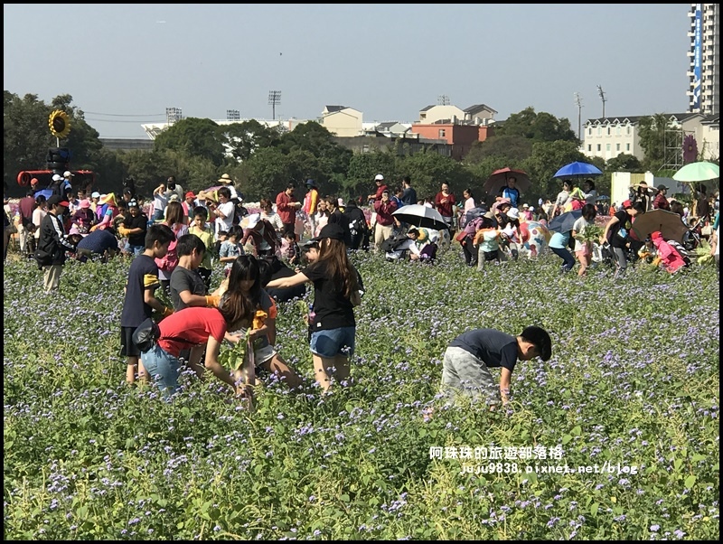 中壢花海35.JPG