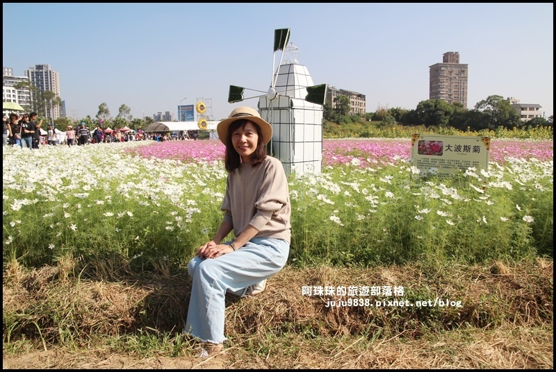中壢花海4.JPG