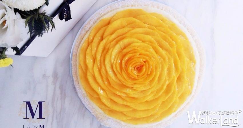 Lady M「芒果千層蛋糕」