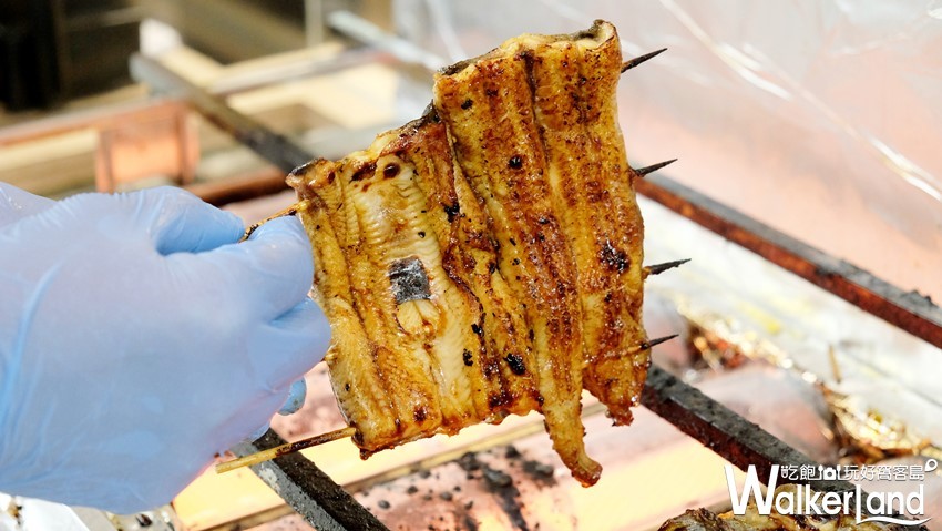 台北鰻魚飯「江戶川」 / WalkerLand窩客島整理提供 未經許可不可轉載